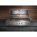  Type d'alimentation_Gaz naturel  --  Series 9 48in Built in Hybrid Grill with Rotisserie IMAGE 19
