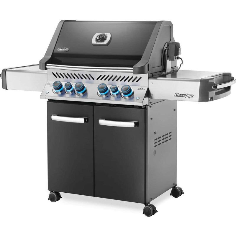 Napoleon Grills Gas Grills P500RSIBPCH-3 IMAGE 2