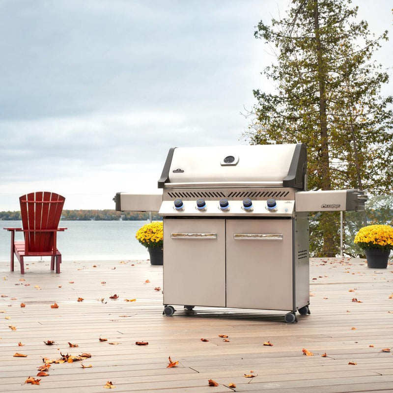 Napoleon Grills Gas Grills P665PSS IMAGE 4