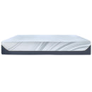  Taille_Grand -- 424111 IMAGE 3