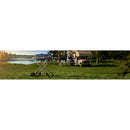 Weber Traveler Portable Gas Grill 9020001 IMAGE 6