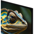  Samsung 75-inch QLED 4K Smart TV QN75Q60DAFXZC IMAGE 8