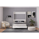  Taille_Simple -- Handyman Twin IMAGE 1