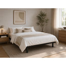  Taille_Grand -- PLEV60 IMAGE 2