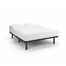 Taille_Double -- PLEV54 IMAGE 1