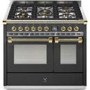  Steel Ascot 40-inch Dual-Fuel Range with 5 Burners AQY10SF-4M-AN-O IMAGE 1