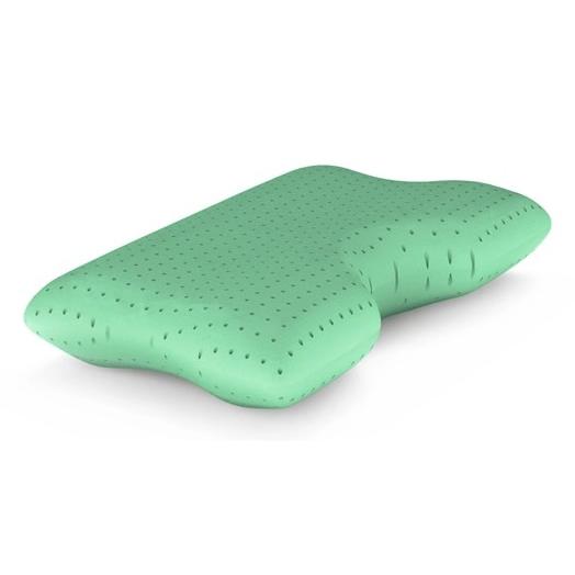 Avanti Sleep Oreiller PurErgo de format standard Oreiller PurErgo (Standard) - Germain Larivière