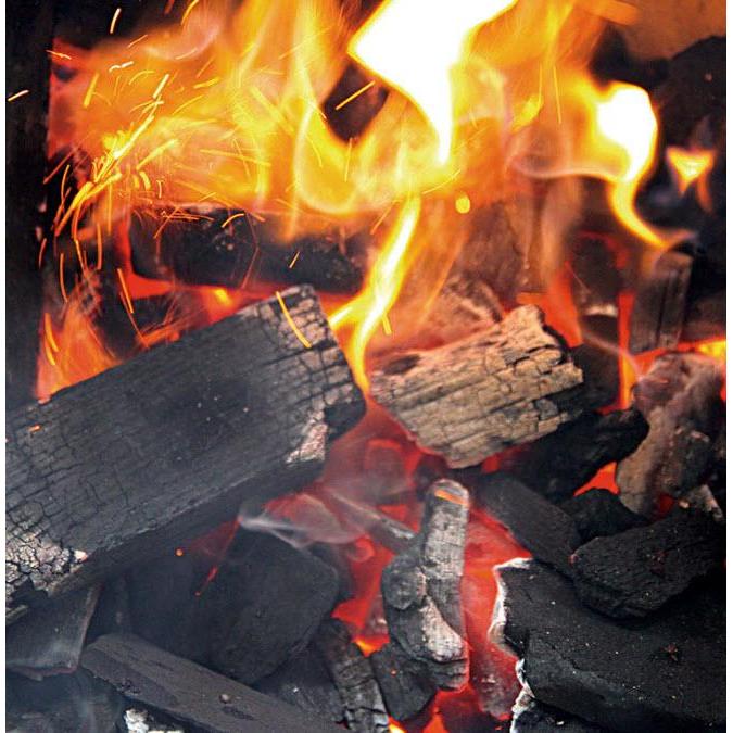 Big Green Egg Charbon de Bois Naturel Big Green Egg, 20Lbs 390011 - Germain Larivière