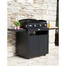 Le Marquier Plancha Pure 375 noir PLVP375ECAN - Germain Larivière