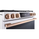 LG STUDIO Cuisinière encastré au gaz de 30 po. avec technologie convection LSGS6338N - Germain Larivière