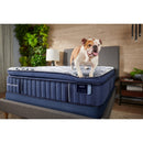 Stearns & Foster Matelas Mon Chéri coussin ferme à plateau - coussin pour lit simple XL - Germain Larivière