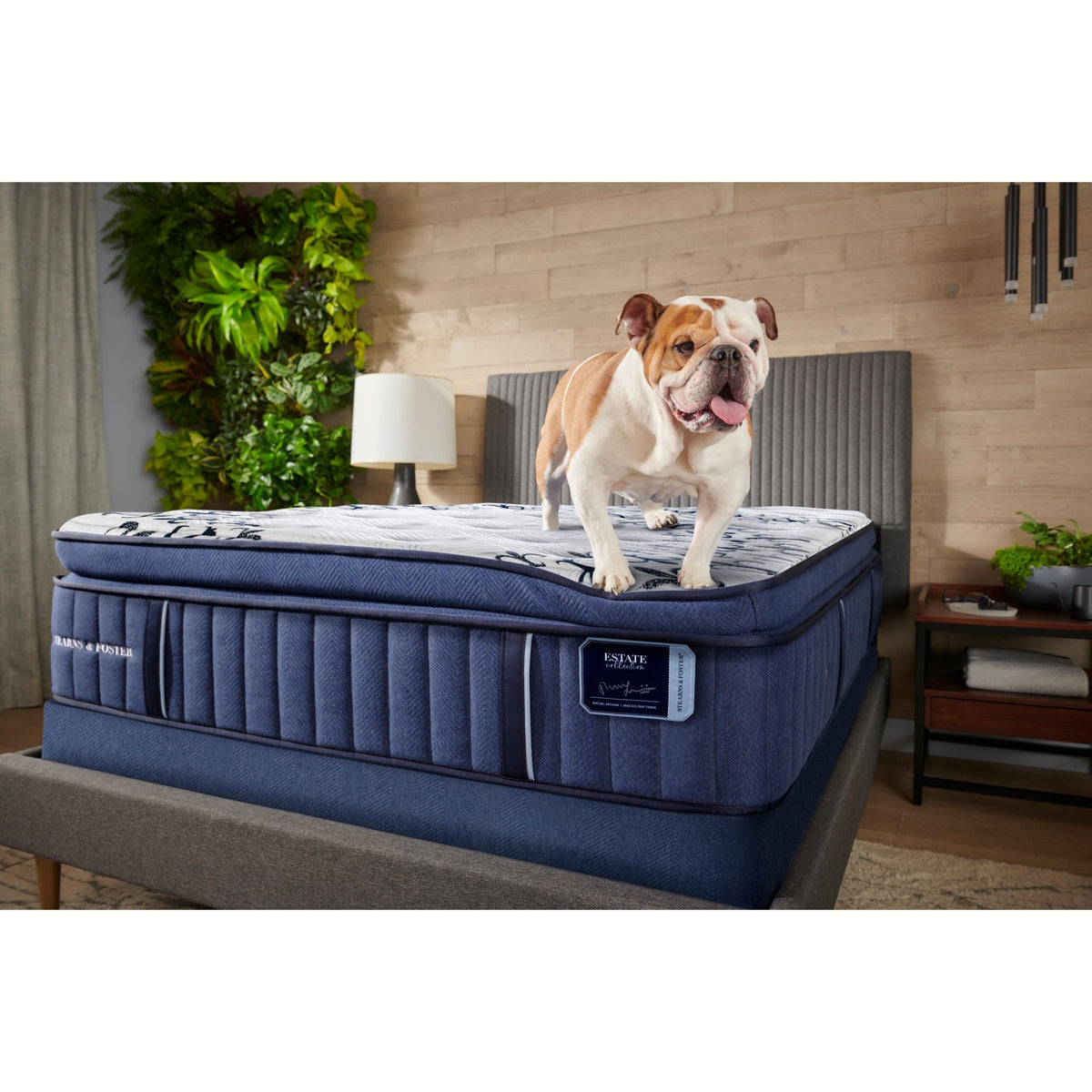 Stearns Foster Mon Cheri Luxury Medium Firm Pillow Top Mattress (Kin