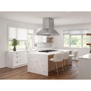 Zephyr Hotte îlot série Pro Titan de 42 pouces AK7742BS - Germain Larivière